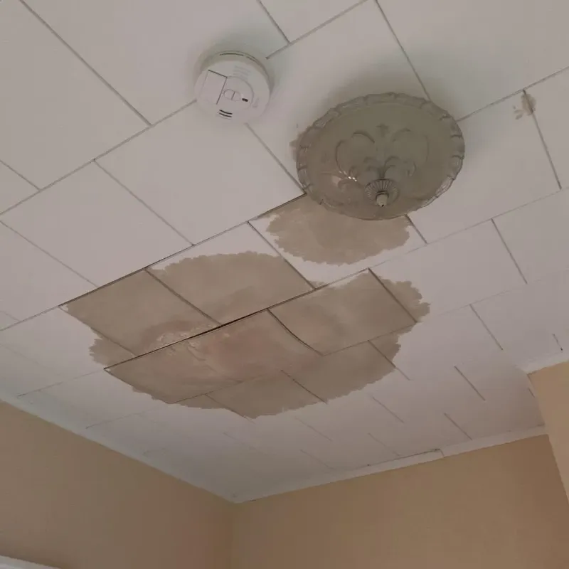 Ceiling Water Damage Repair in Pittsboro, NC