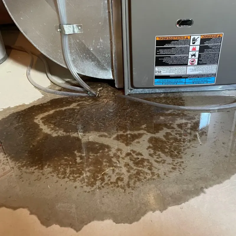 Pipe Burst and Leak Restoration in Pittsboro, NC